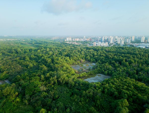 Code de réduction gratuit: la malhonnêteté de certaines boutiques mise en avant