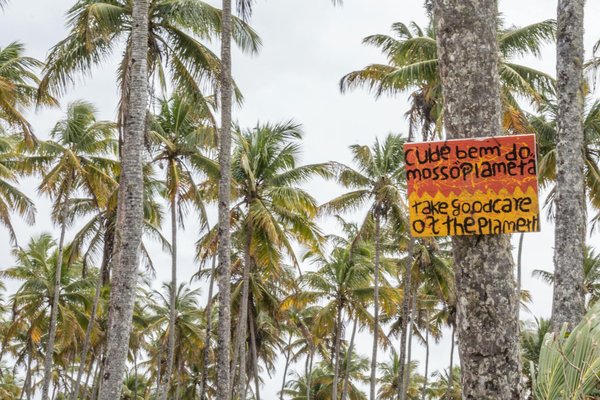 Abri de jardin en bois : un accessoire indispensable pour vos jardins ?