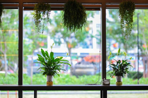 Blackjack : quels sont vos jeux casinos préférés ?