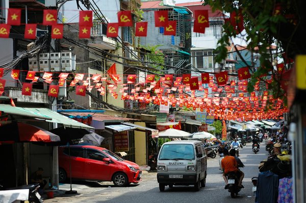 Berger du Caucase : nos conseils pour une cohabitation harmonieuse