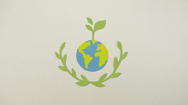 Paravent rétractable : quel type de modèle prendre ?